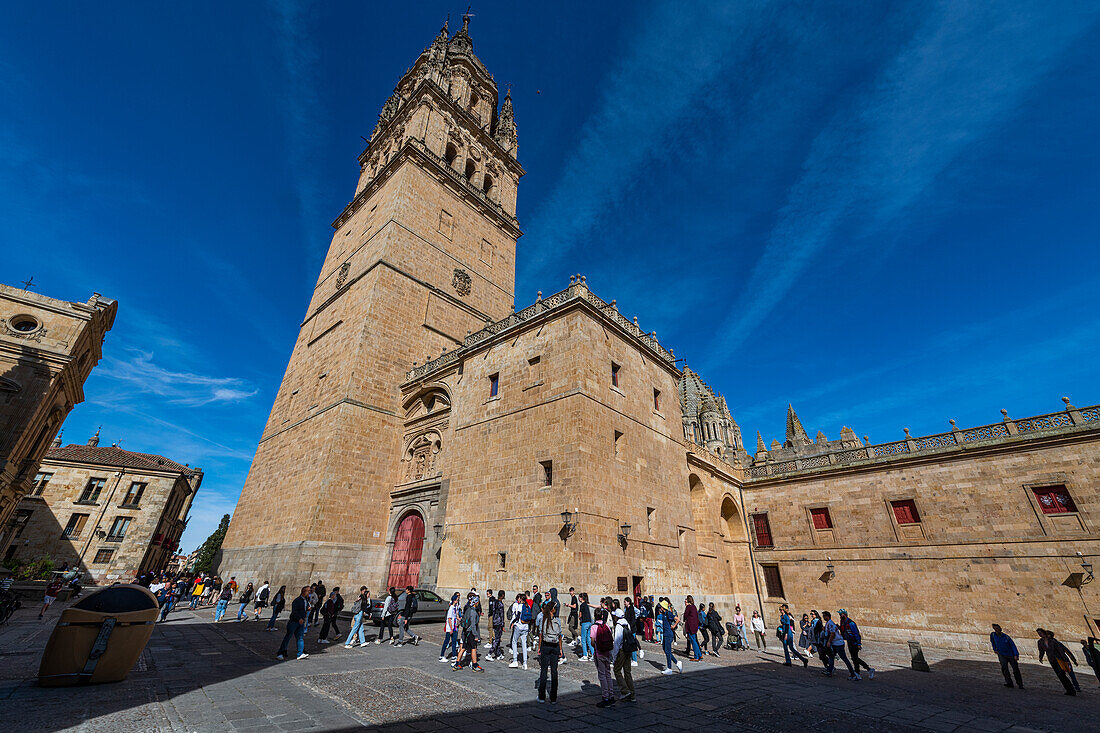 Salamanca Cathedral, Salamanca, UNESCO World Heritage Site, Castile and Leon, Spain, Europe