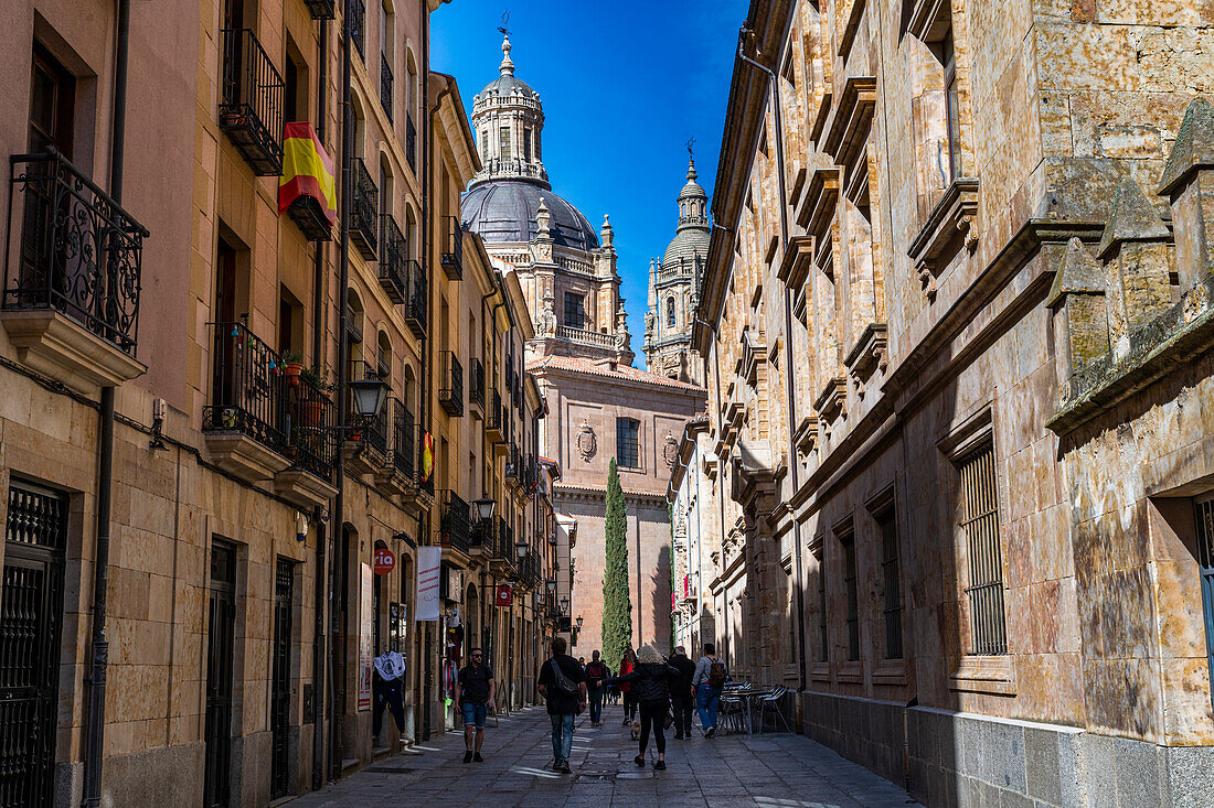 Old town, Salamanca, UNESCO World Heritage Site, Castile and Leon, Spain, Europe