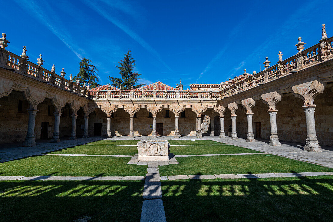Escuelas Menores, Salamanca, UNESCO World Heritage Site, Castile and Leon, Spain, Europe