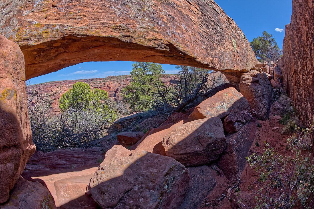 A hidden natural arch near Sliding House Overlook on the south rim of Canyon De Chelly, Arizona, United States of America, North America