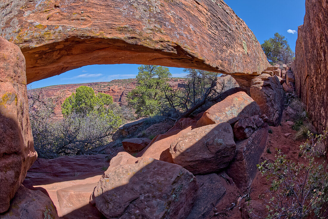 Ein versteckter natürlicher Bogen beim Sliding House Overlook am Südrand des Canyon De Chelly, Arizona, Vereinigte Staaten von Amerika, Nordamerika