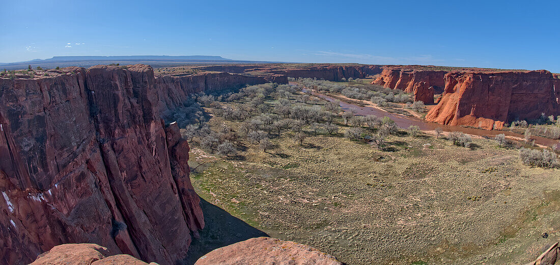 View of Cottonwood Canyon in Canyon De Chelly west of the Tseyi Overlook, Arizona, United States of America, North America
