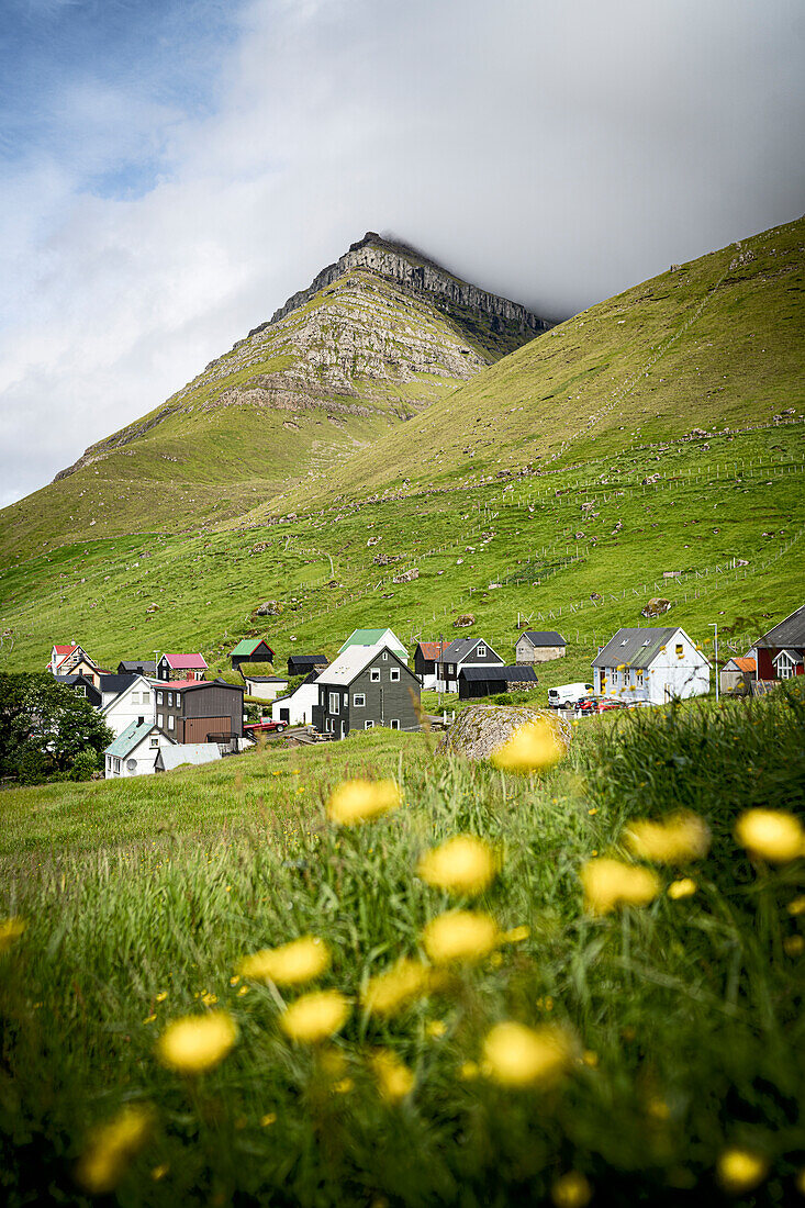 Traditionelle Häuser in dem kleinen Dorf Kunoy in den blühenden Wiesen, Kunoy Island, Färöer Inseln, Dänemark, Europa