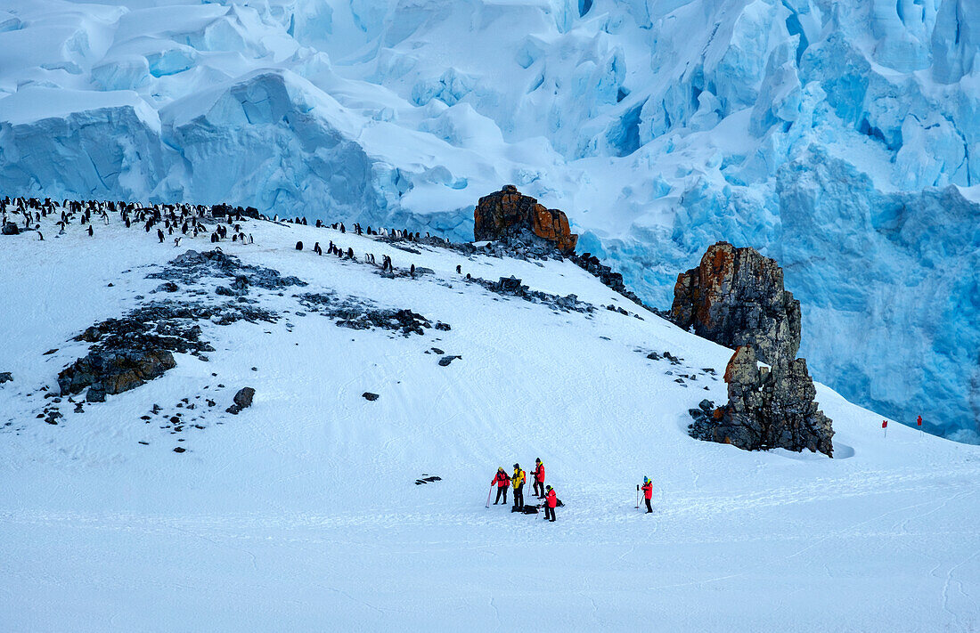 Hikers climbing Half Moon Island, South Shetland Islands, Antarctica, Polar Regions