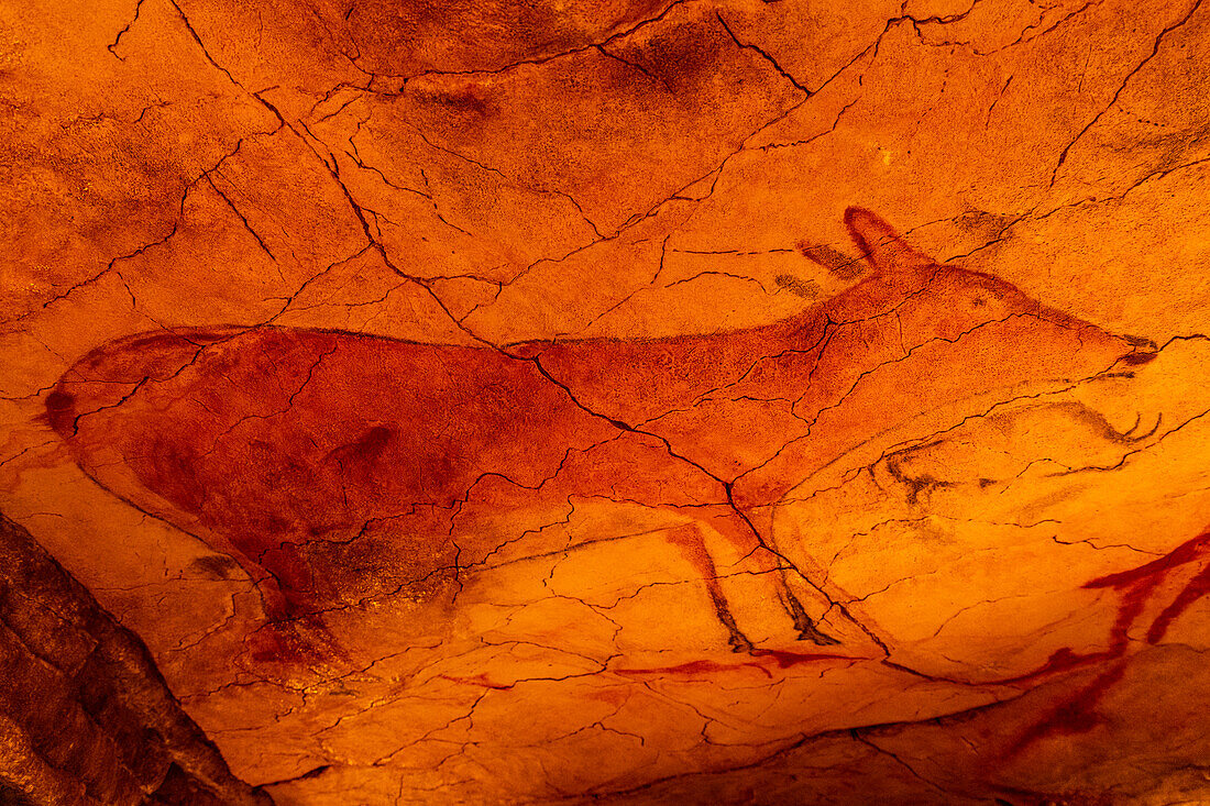 Altamira-Höhle, UNESCO-Welterbe, Kantabrien, Spanien, Europa