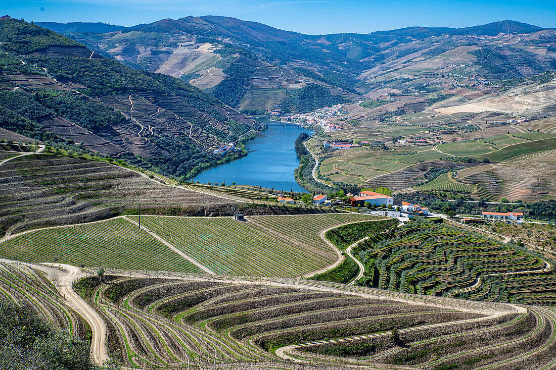 Blick über die Weinregion des Douro-Flusses, UNESCO-Welterbe, Portugal, Europa