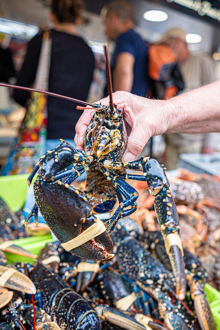 Lobsters in a market