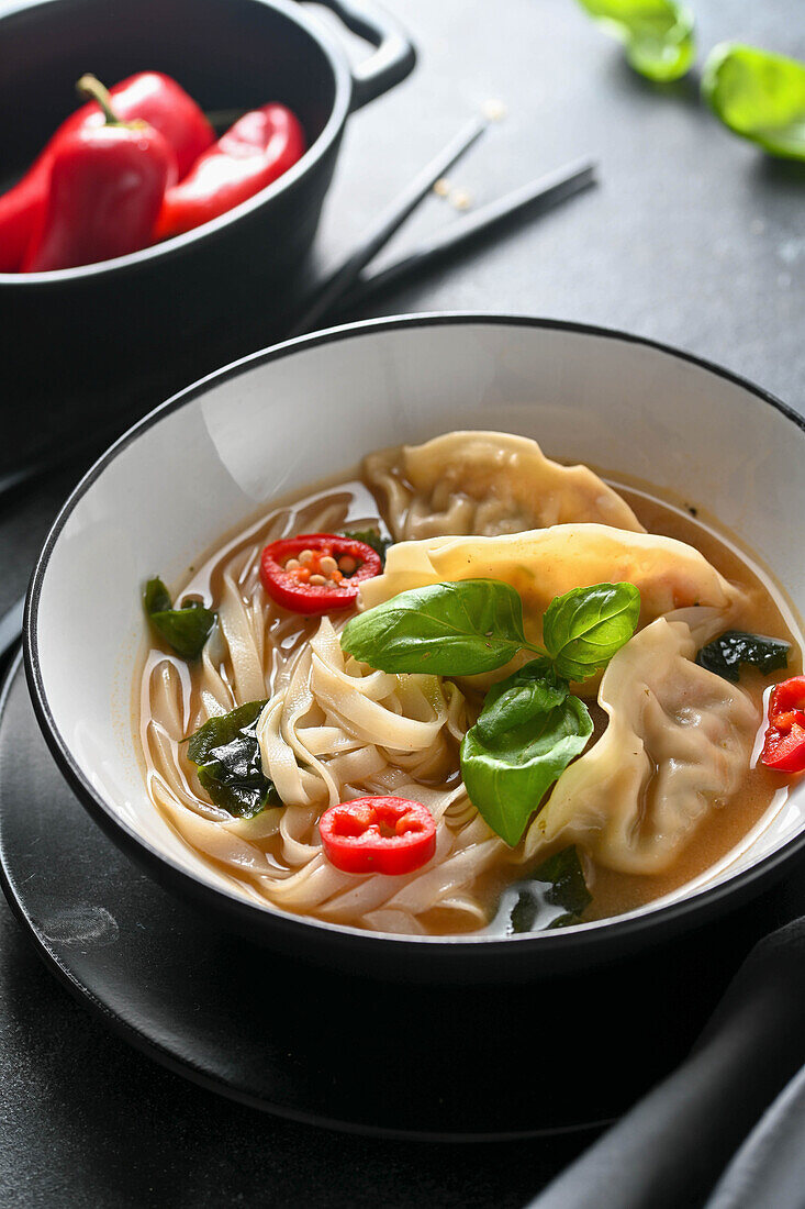 Gyoza vegetable Soup with Noodles