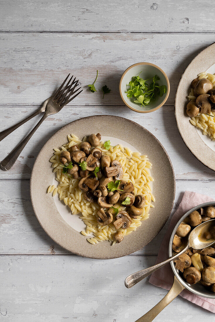 Orzo mit Champignons