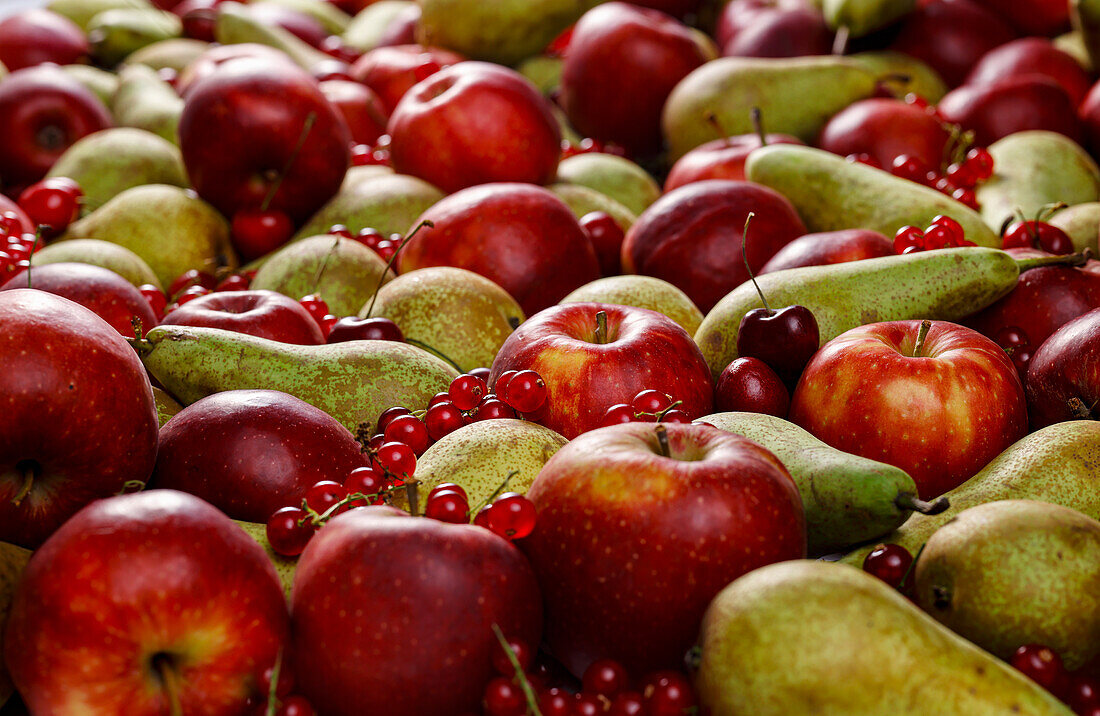 Äpfel, Birnen, Kirschen und rote Johannisbeeren