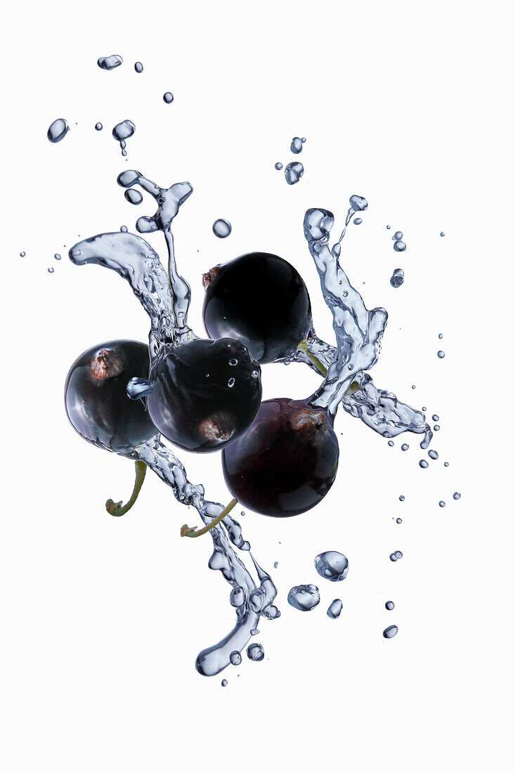 Blueberries in a splash of water