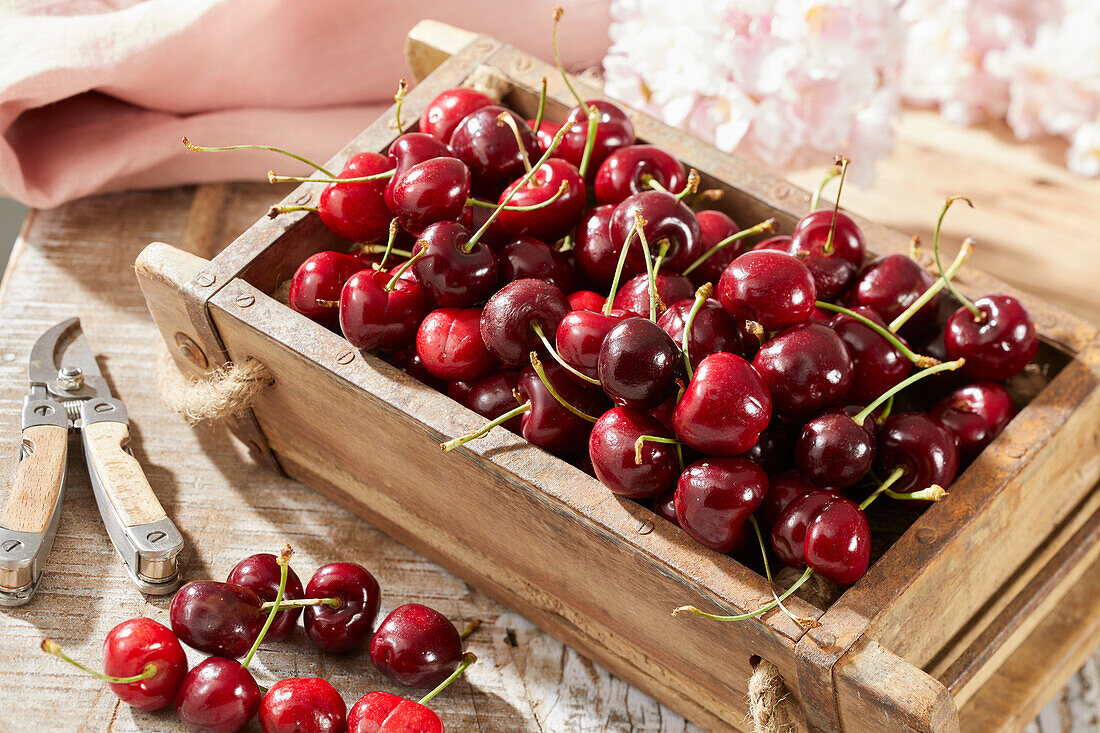 sweet cherries