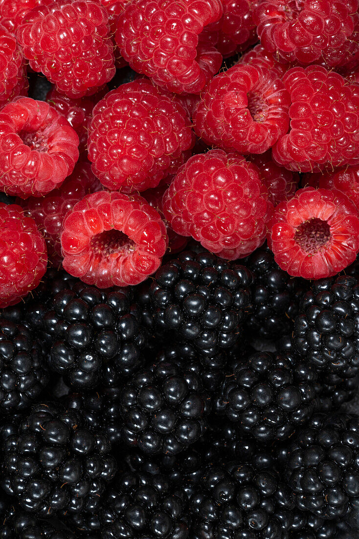 Himbeeren und Brombeeren