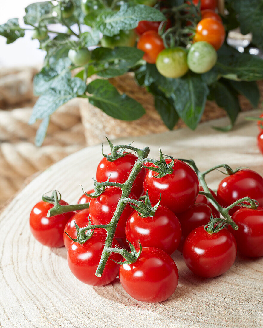 Cherry tomatoes