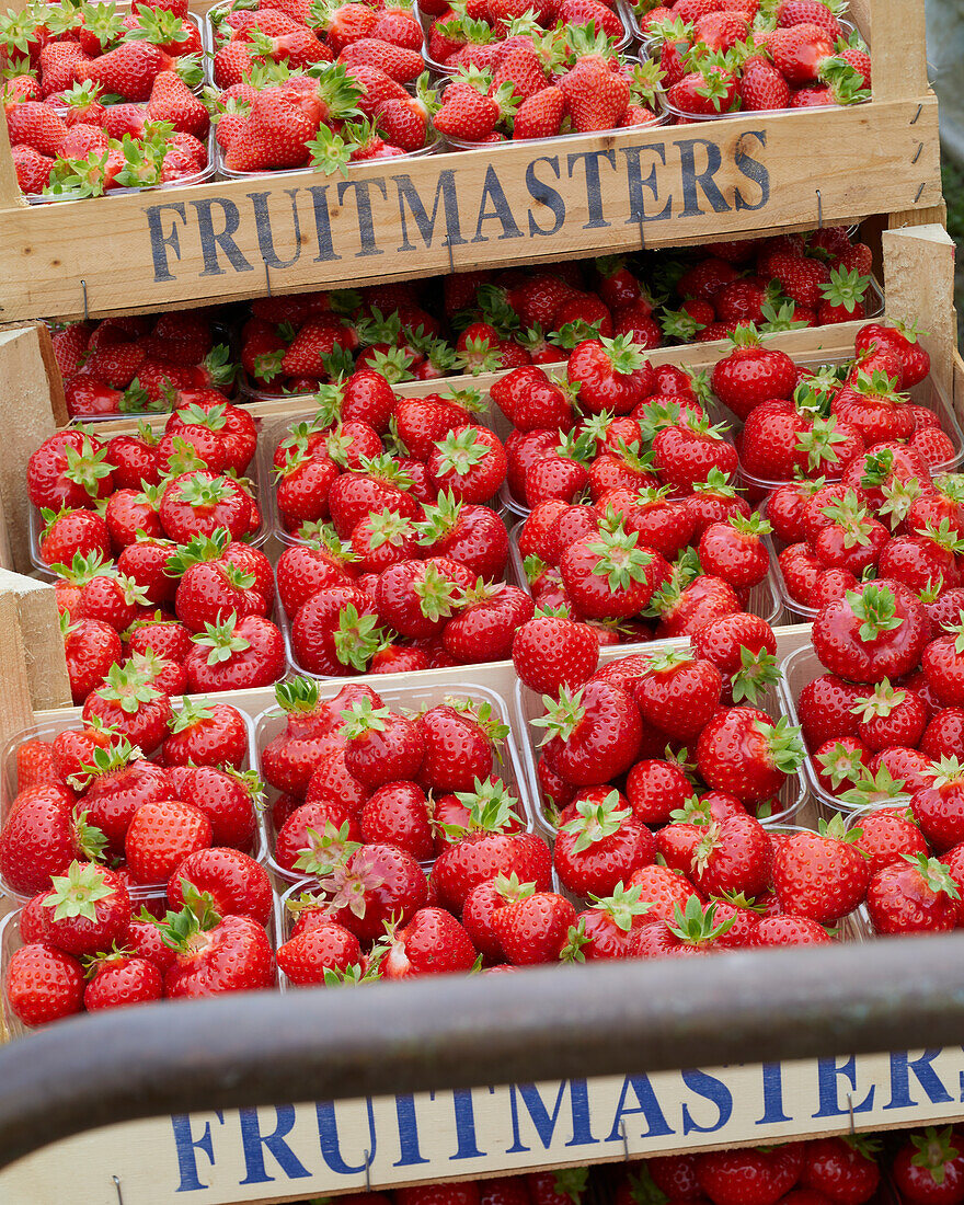 Strawberries in plastic cartons