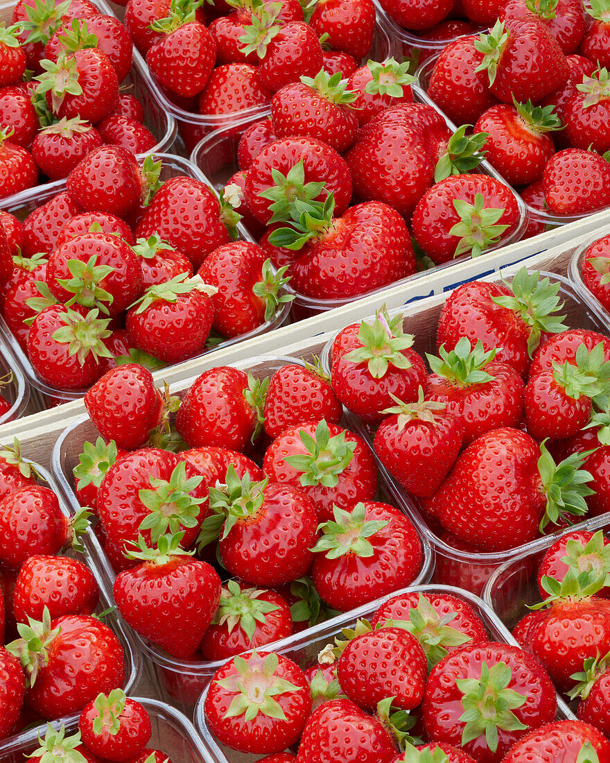 Strawberries in plastic bowls