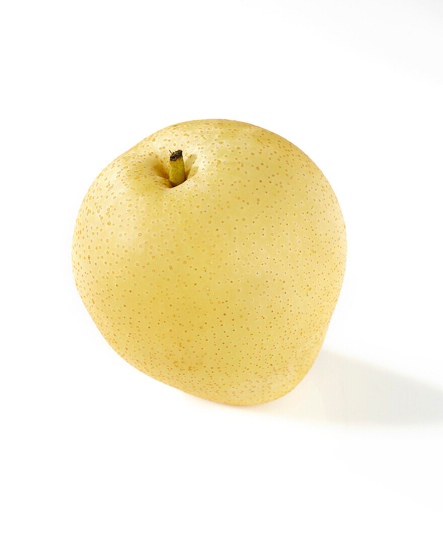 Nashi pear, Pyrus pyrifolia