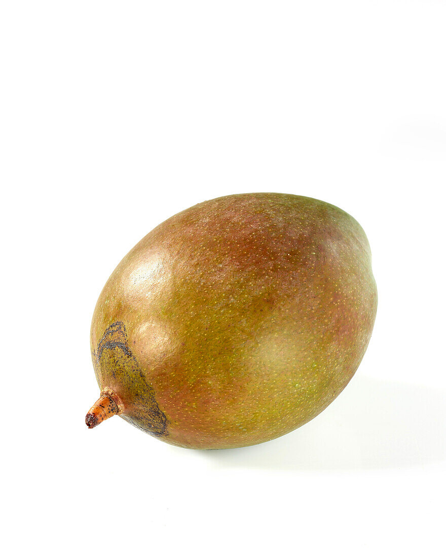 Green mango, Mangifera indica