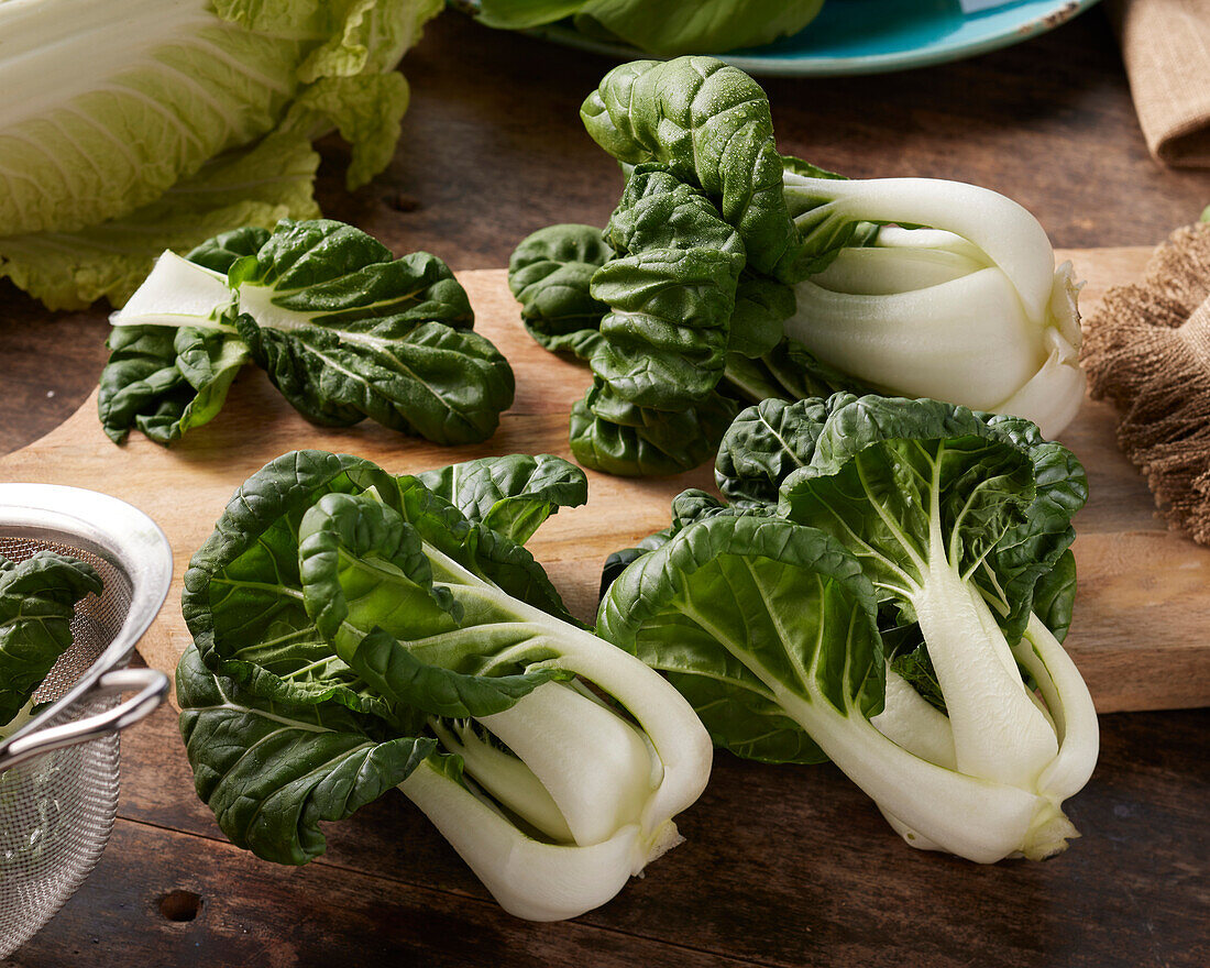 Bok choy Mini, Brassica rapa var. chinensis