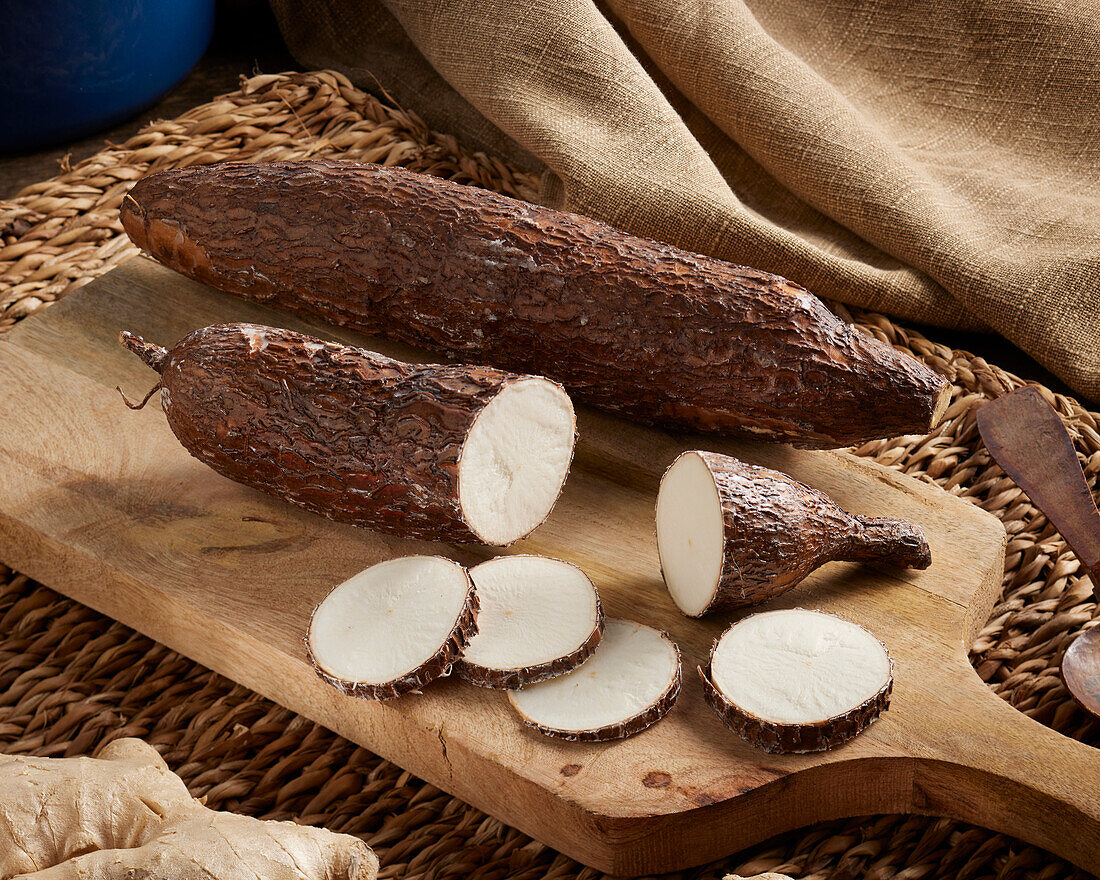 Cassava, Manihot esculenta