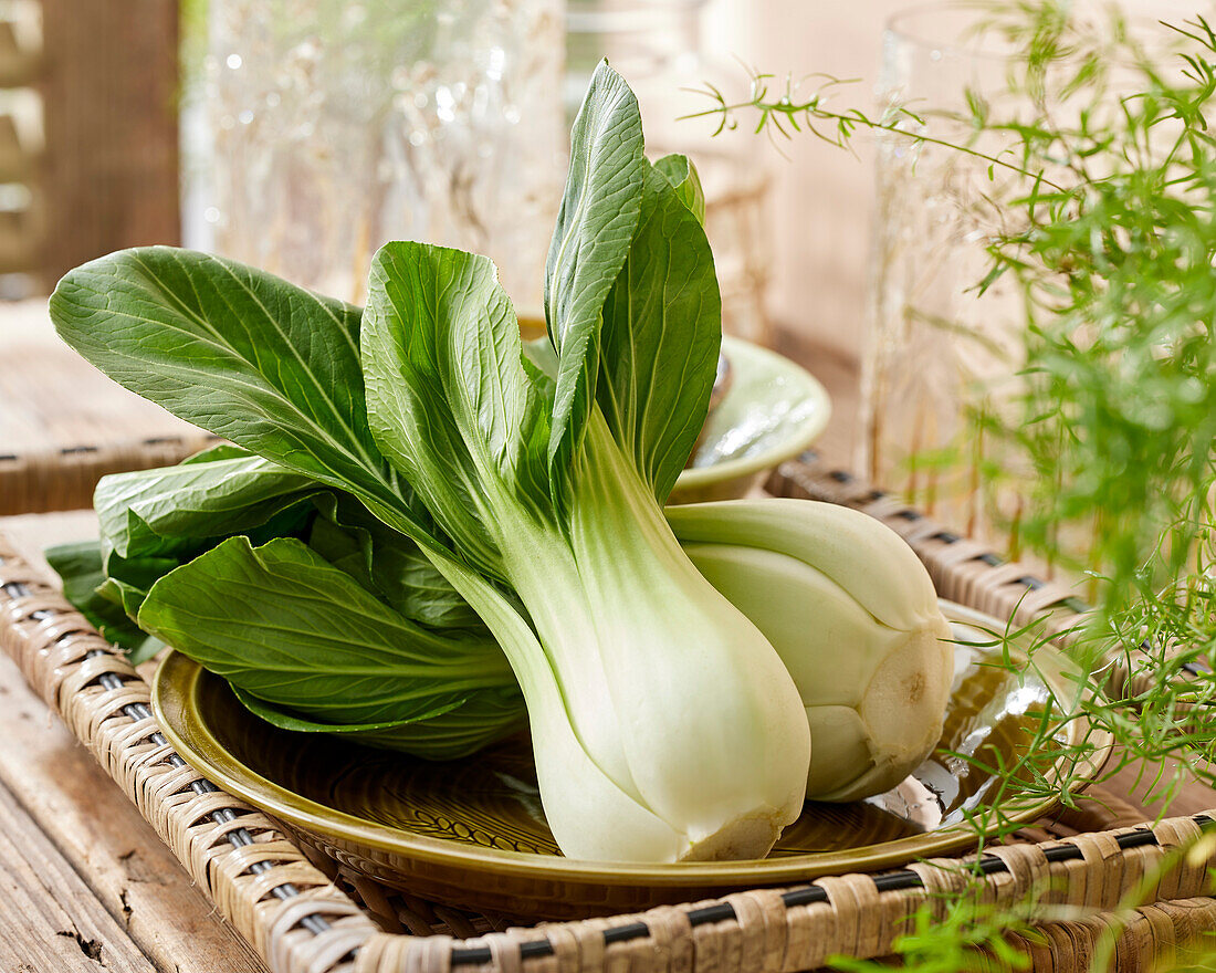 Bok Choy, Brassica rapa var. chinensis