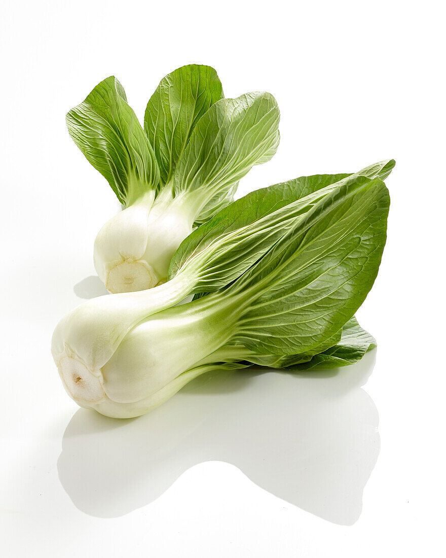 Bok Choy, Brassica rapa var. chinensis