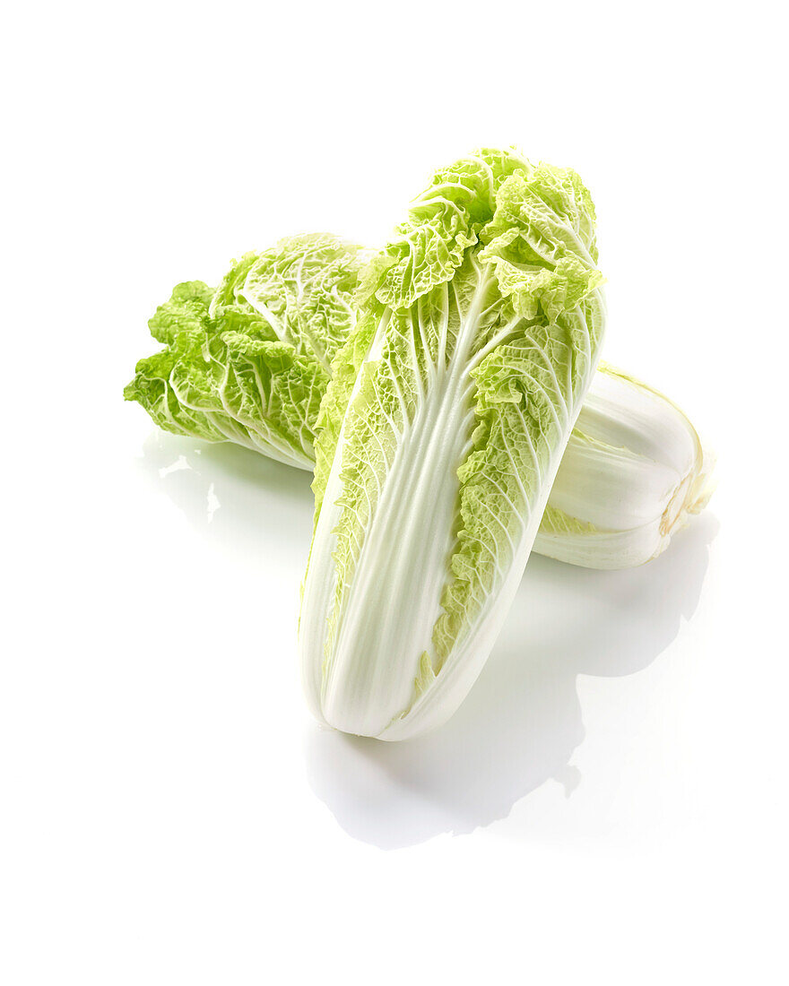 Chinese cabbage, Brassica rapa var. pekinensis