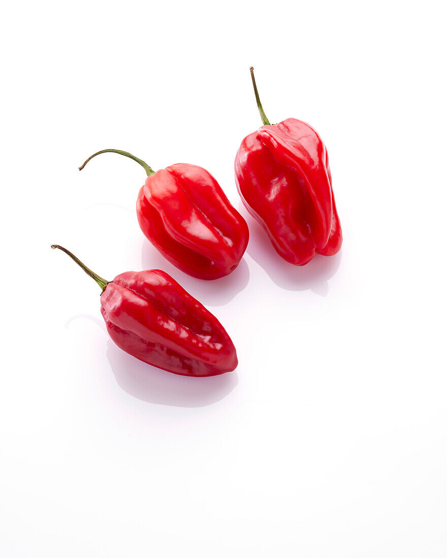 Spanish pepper (Capsicum annuum)