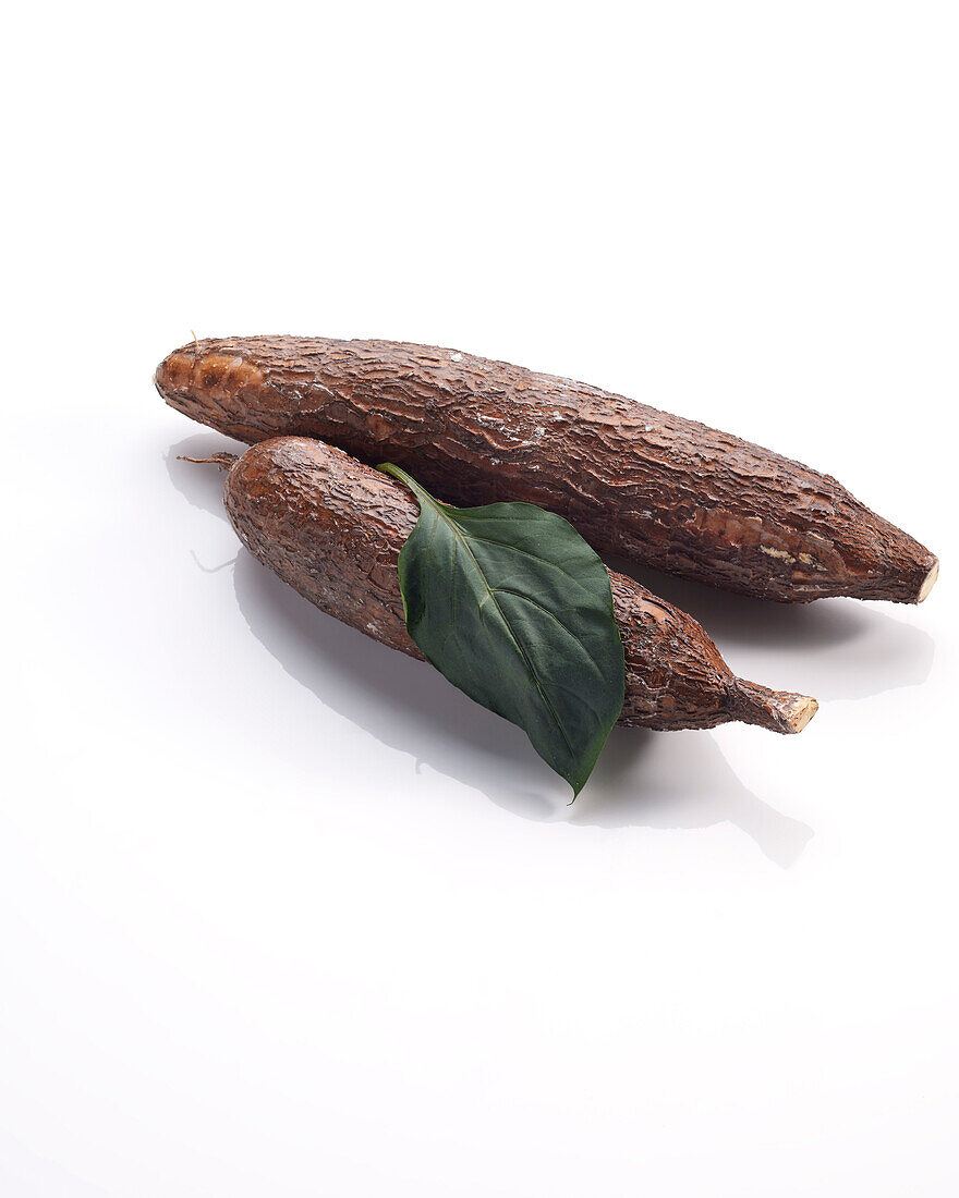 Cassava, Manihot esculenta