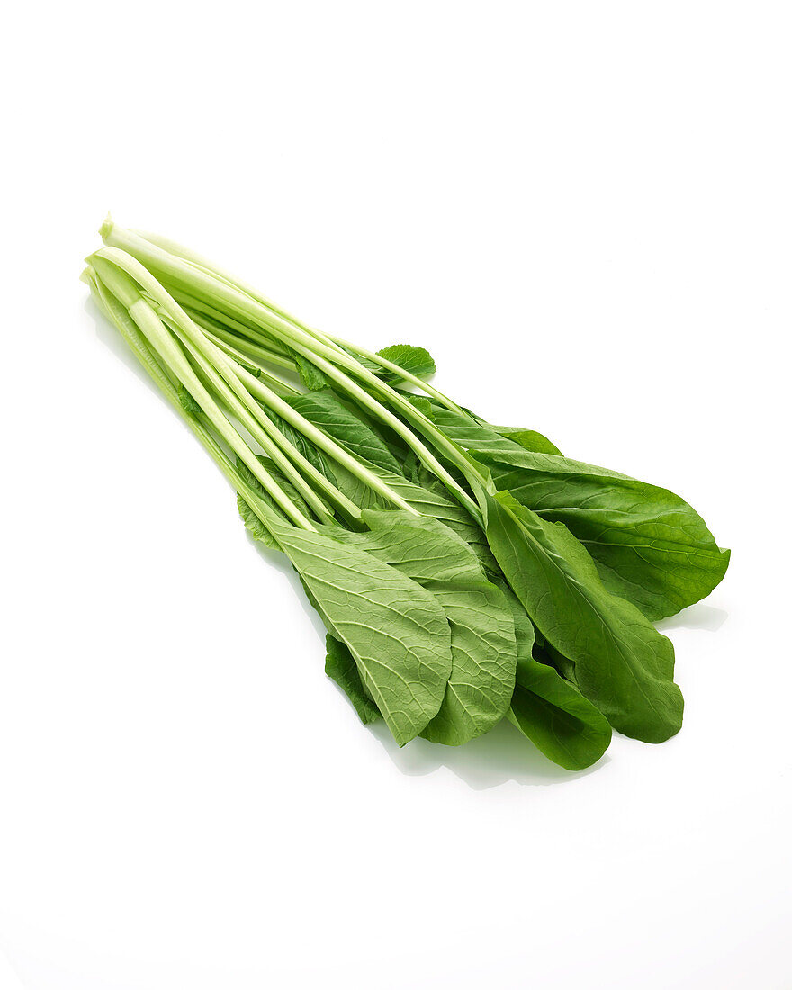 Choy Sum, Brassica chinensis var. parachinensis, choi sum, choi sam