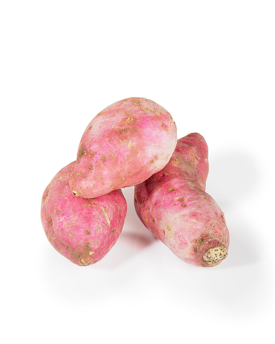 Rote Süßkartoffel (Ipomoea batatas)