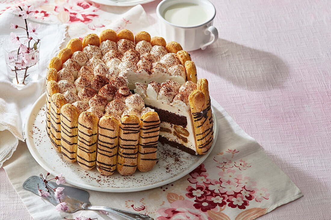 Tiramisu cake