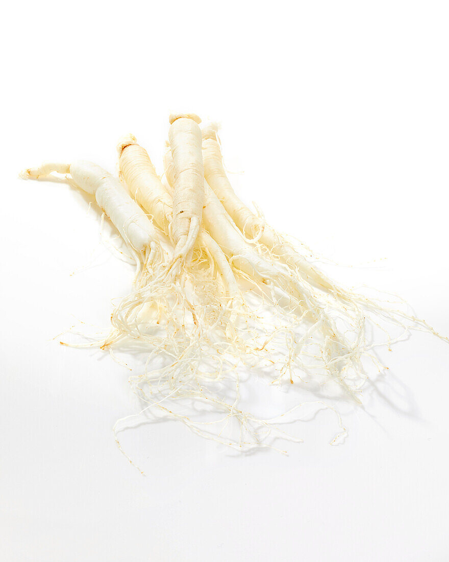 Ginsengwurzeln (Panax Ginseng)