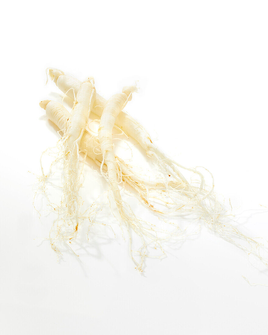 Ginsengwurzeln (Panax Ginseng)