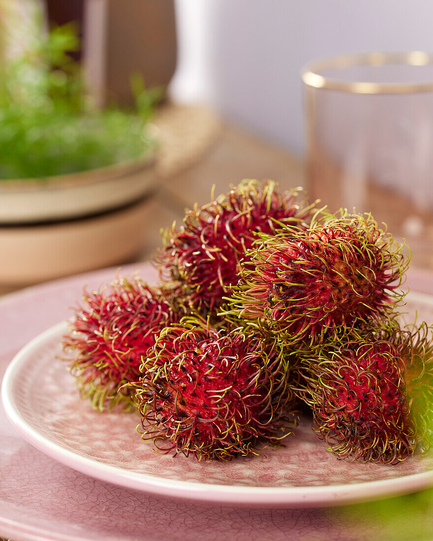 Rambutan (Nephelium lappaceum)