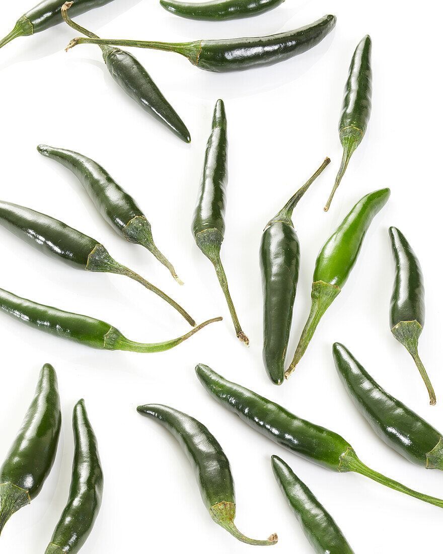 Green chili Ot Xanh, Capsicum