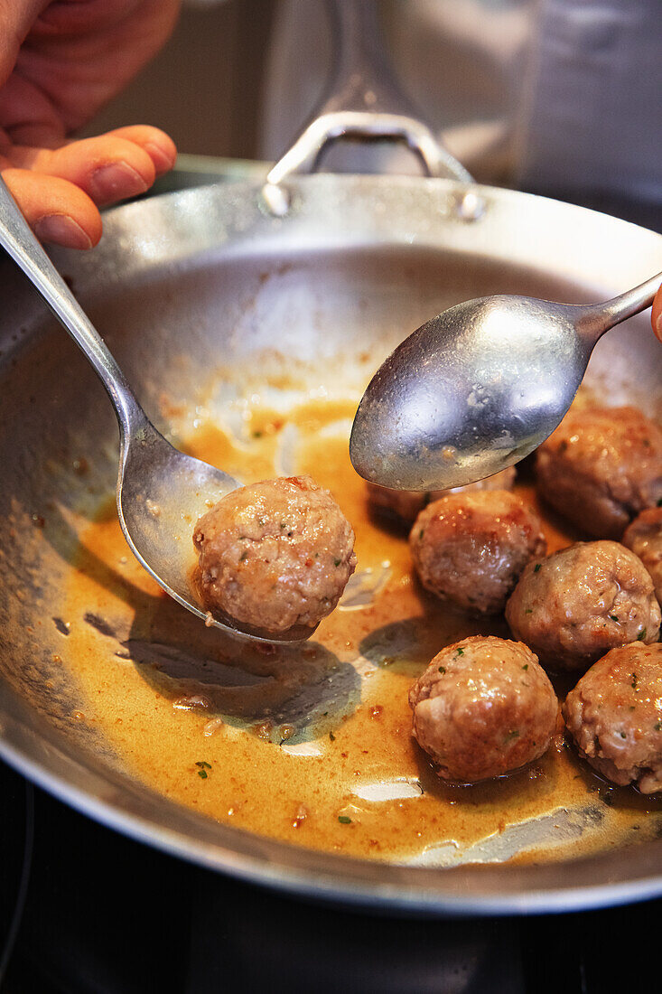 Meatballs in Lambrusco sauce (Emilia-Romagna)