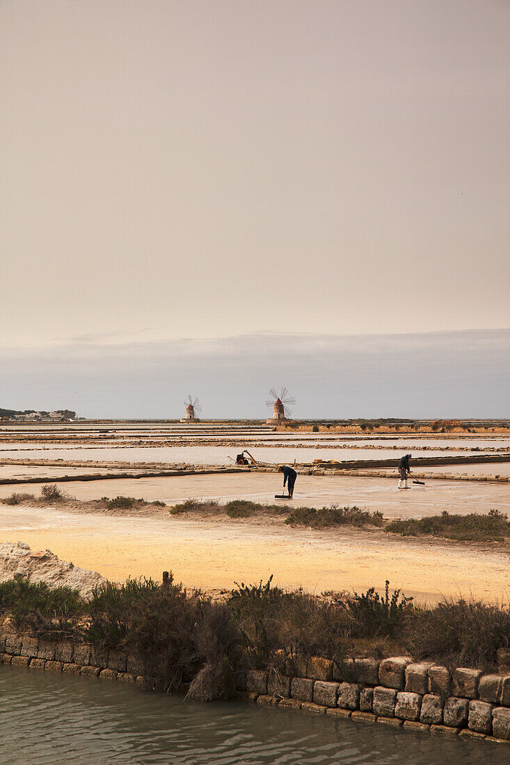 Salt marshes in Trapani