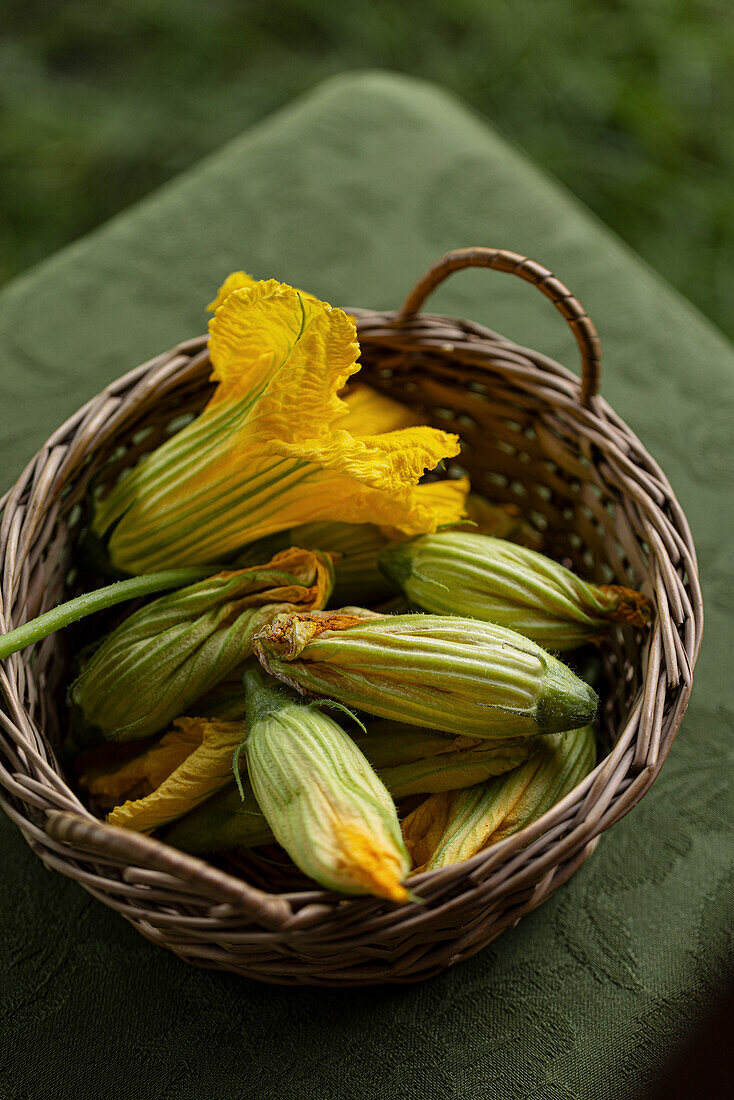 Freshly harvested courgette flowers