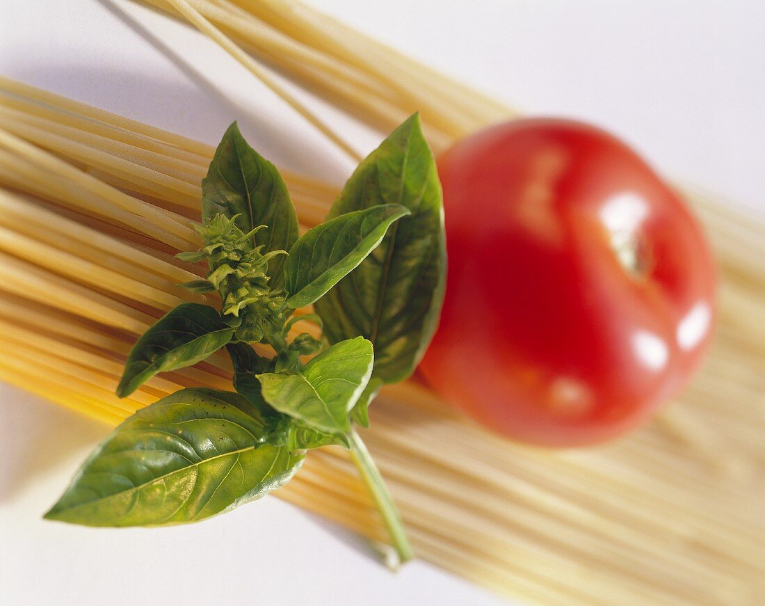 Spaghetti, Tomate & Basilikum