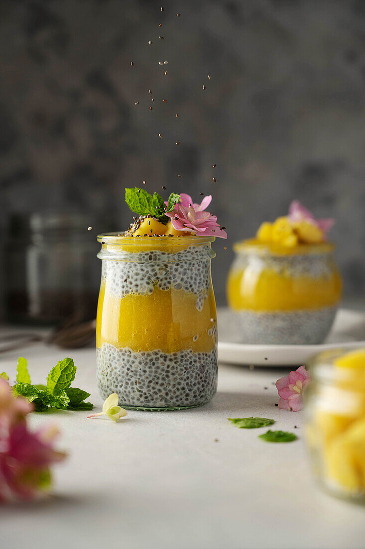 Chia-Pudding mit Mango-Smoothie