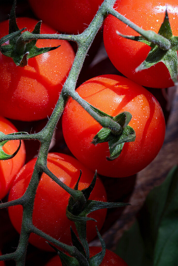 Cherry tomatoes (close-up)