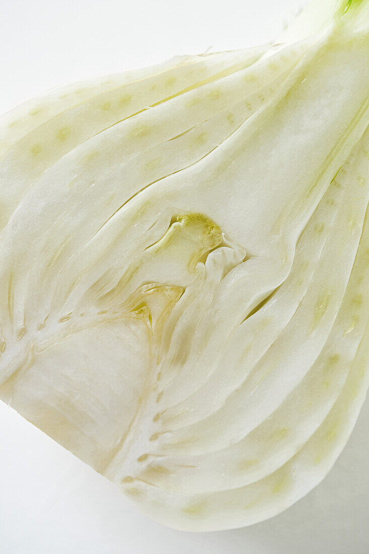 Halbierter Fenchel