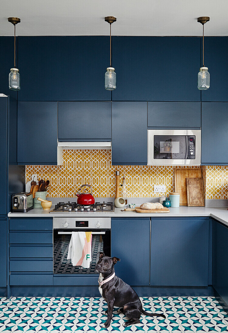 Kitchen in blue with patterned tiled splashback and floor, dog sitting in front of it