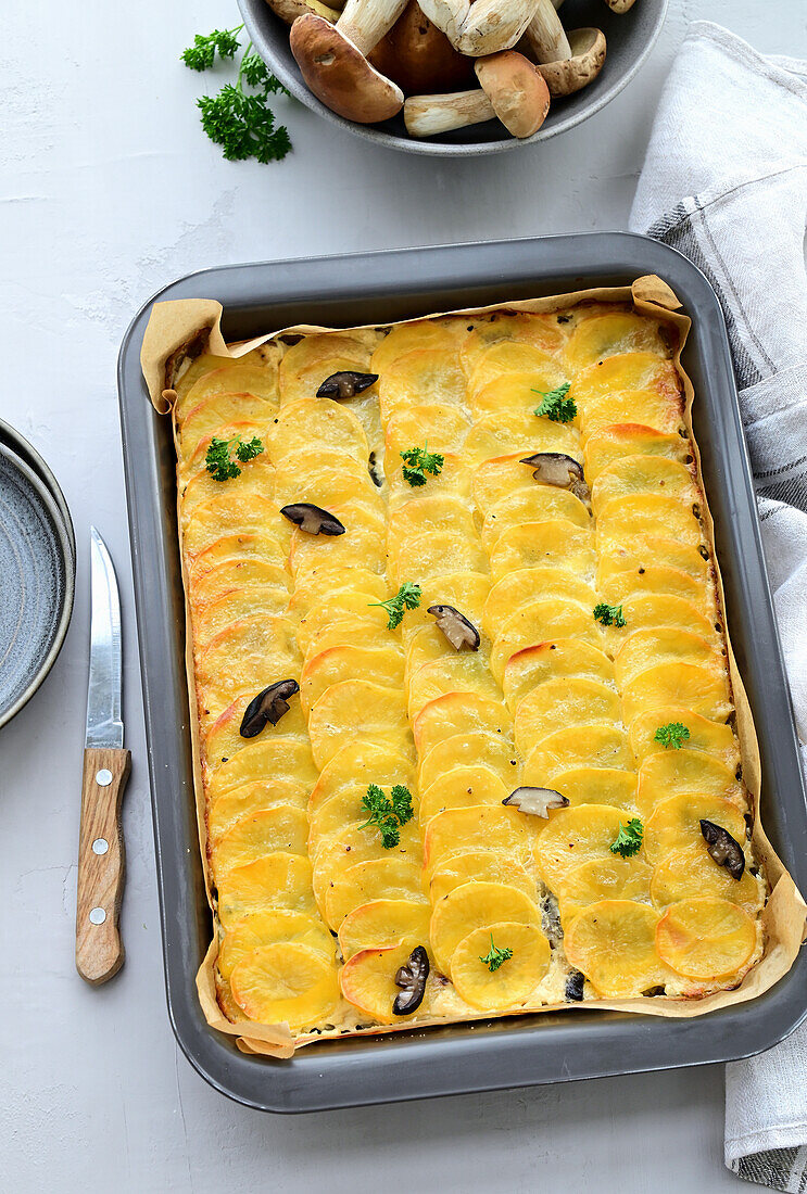 Potato and chicken casserole with wild mushrooms, onions, and cream