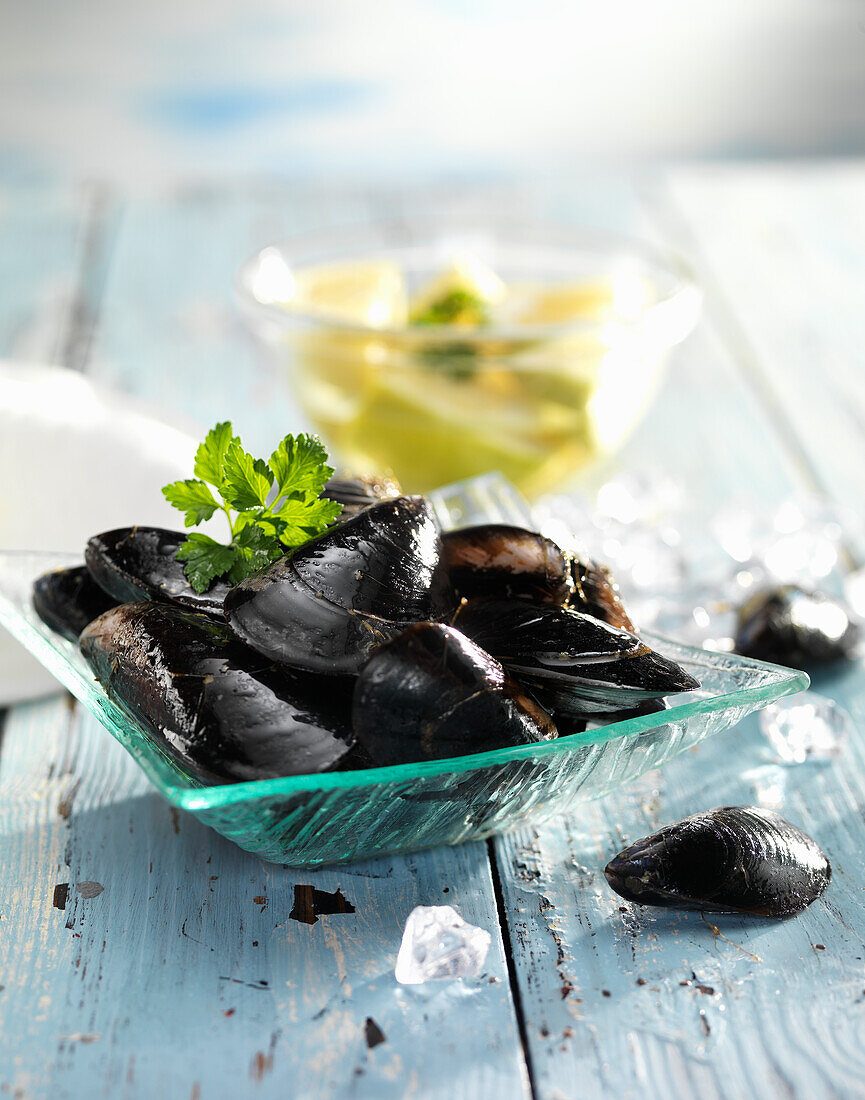 Mussels