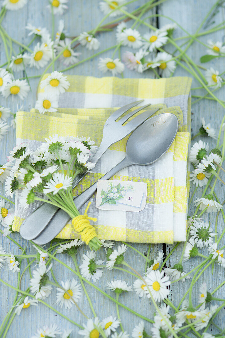 Gartentisch mit Besteck und Gänseblümchen (Bellis Perennis) auf kariertem Tuch, Namensschild, Stilleben