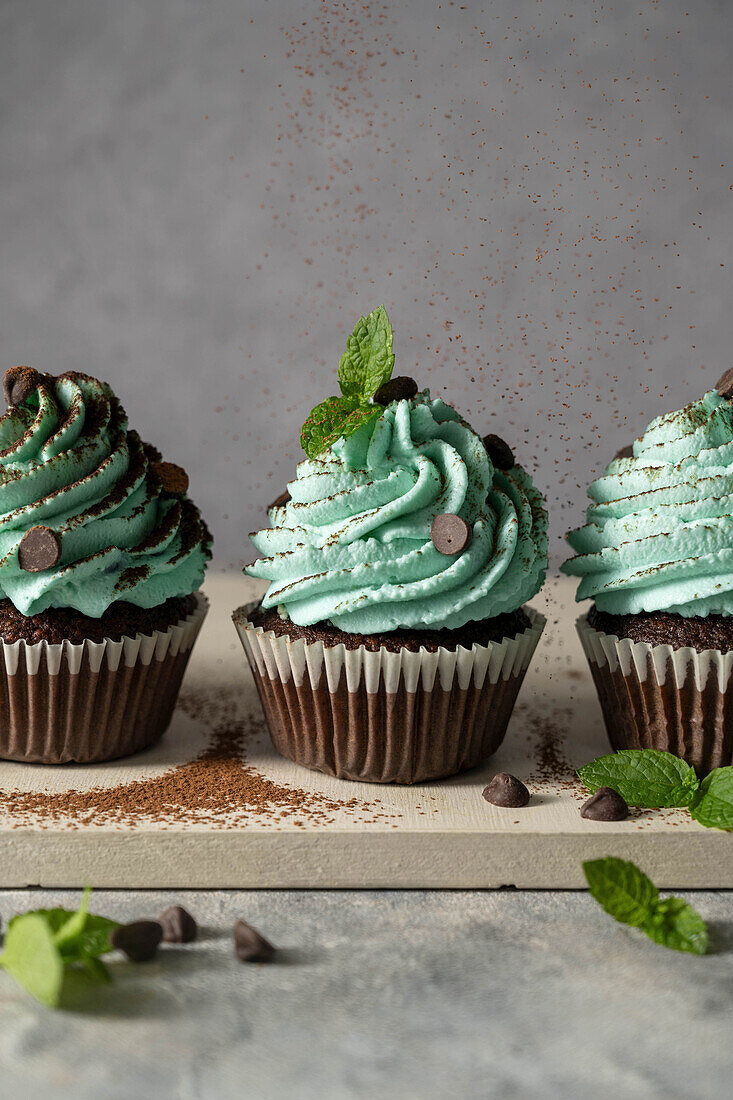 Mint chocolate cupcakes with chocolate chips