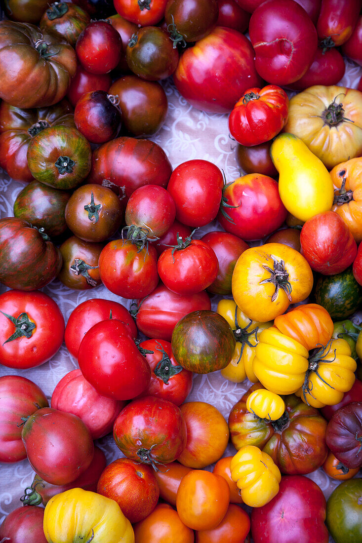 Different types of tomatoes