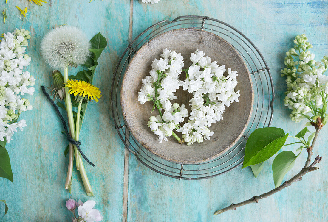 Fliederblüten (Syringa) in Holzschale, Sträußchen aus Löwenzahn (Taraxum)